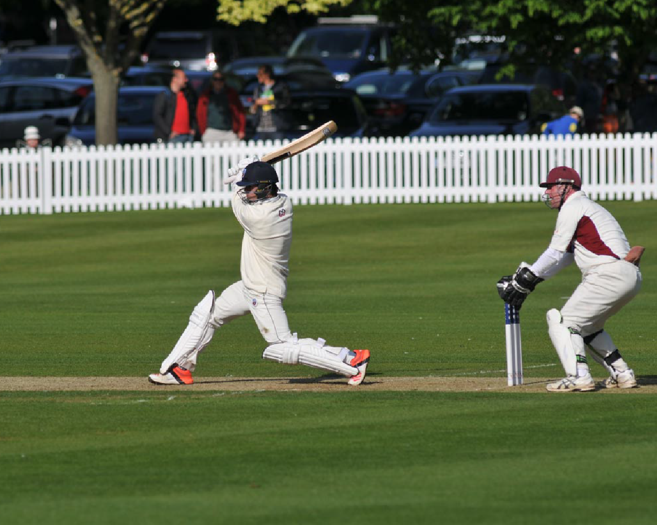 Cricket Fencing